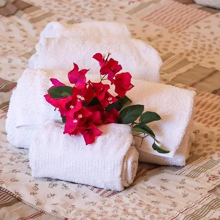 Idyllic With Huge Garden For 14pax بيت للعطل المانسيل